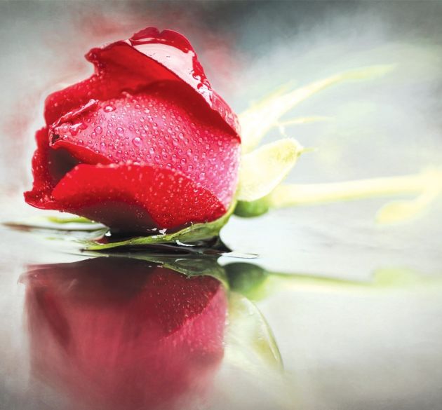 Культура мусульманства и осознанная вера