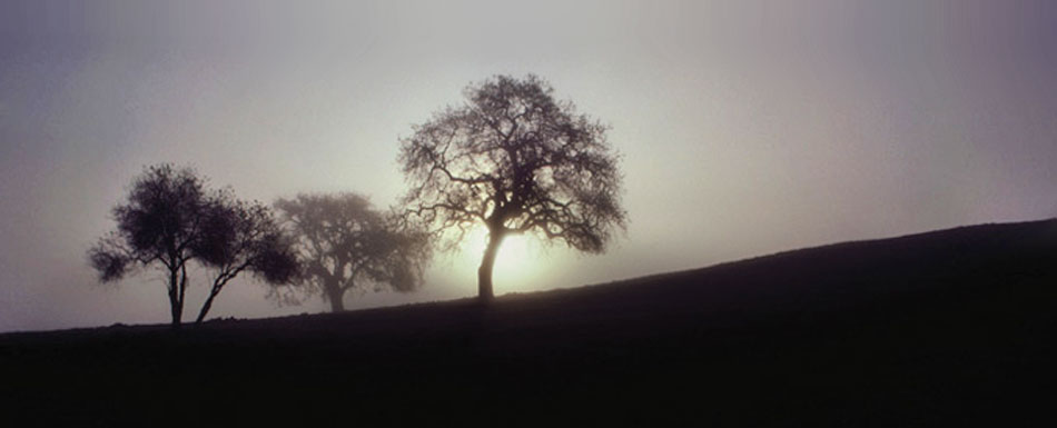 La Tristesse (Huzn)