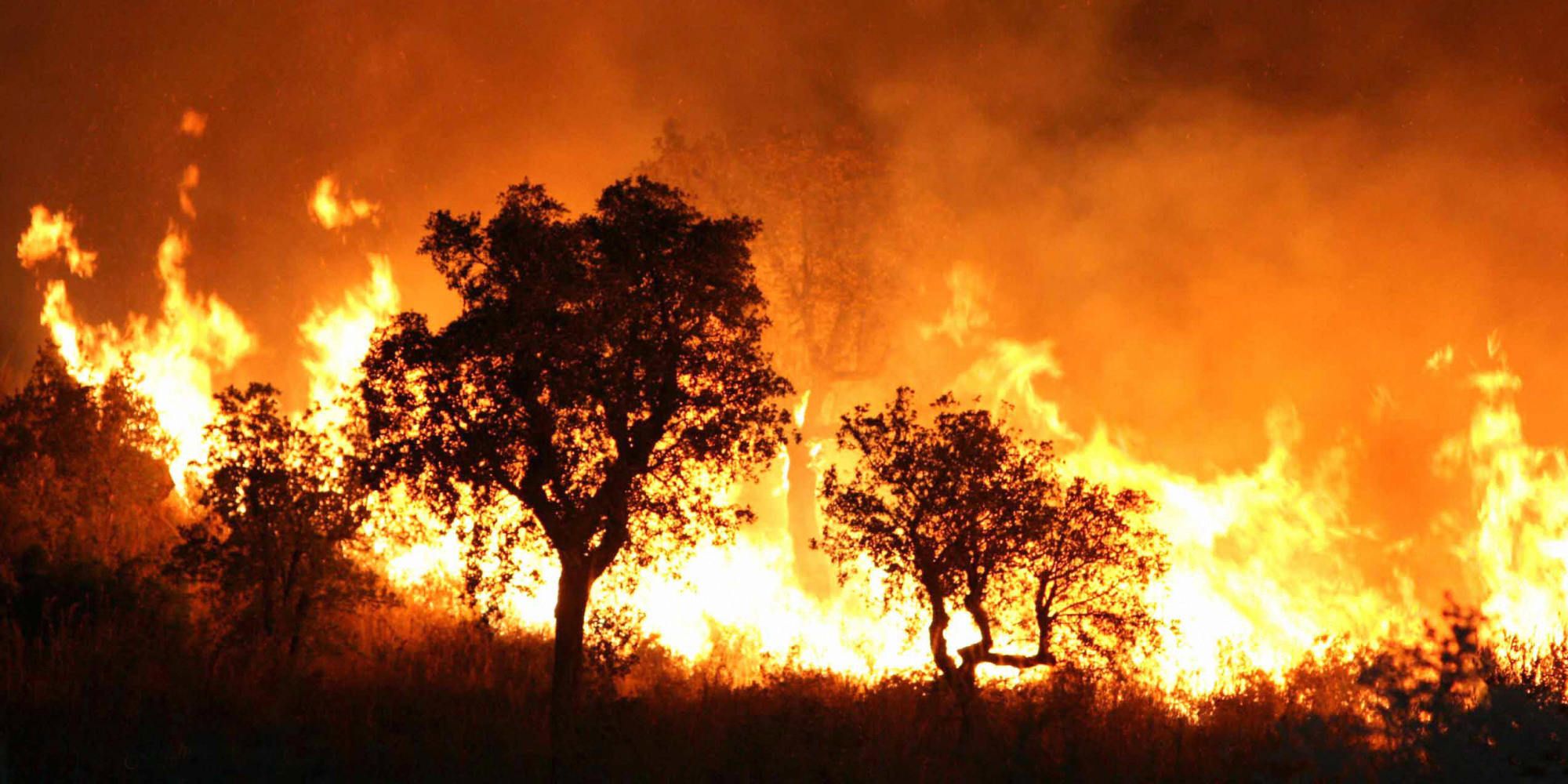 Fethullah Gülen’s Message of Condolences for the Fires in Algeria