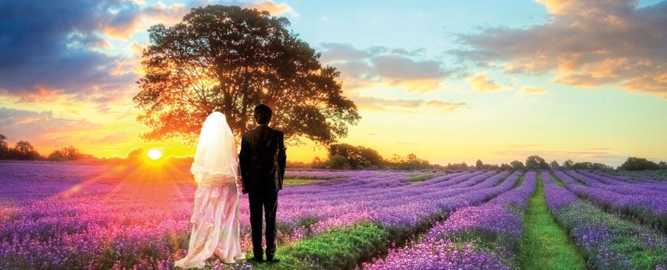 O Casamento e a Casa