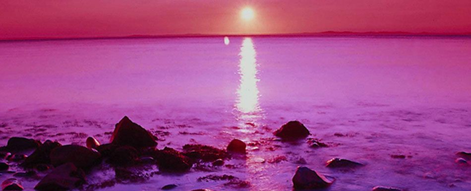 Luminous Horizons and Oppressive Veils
