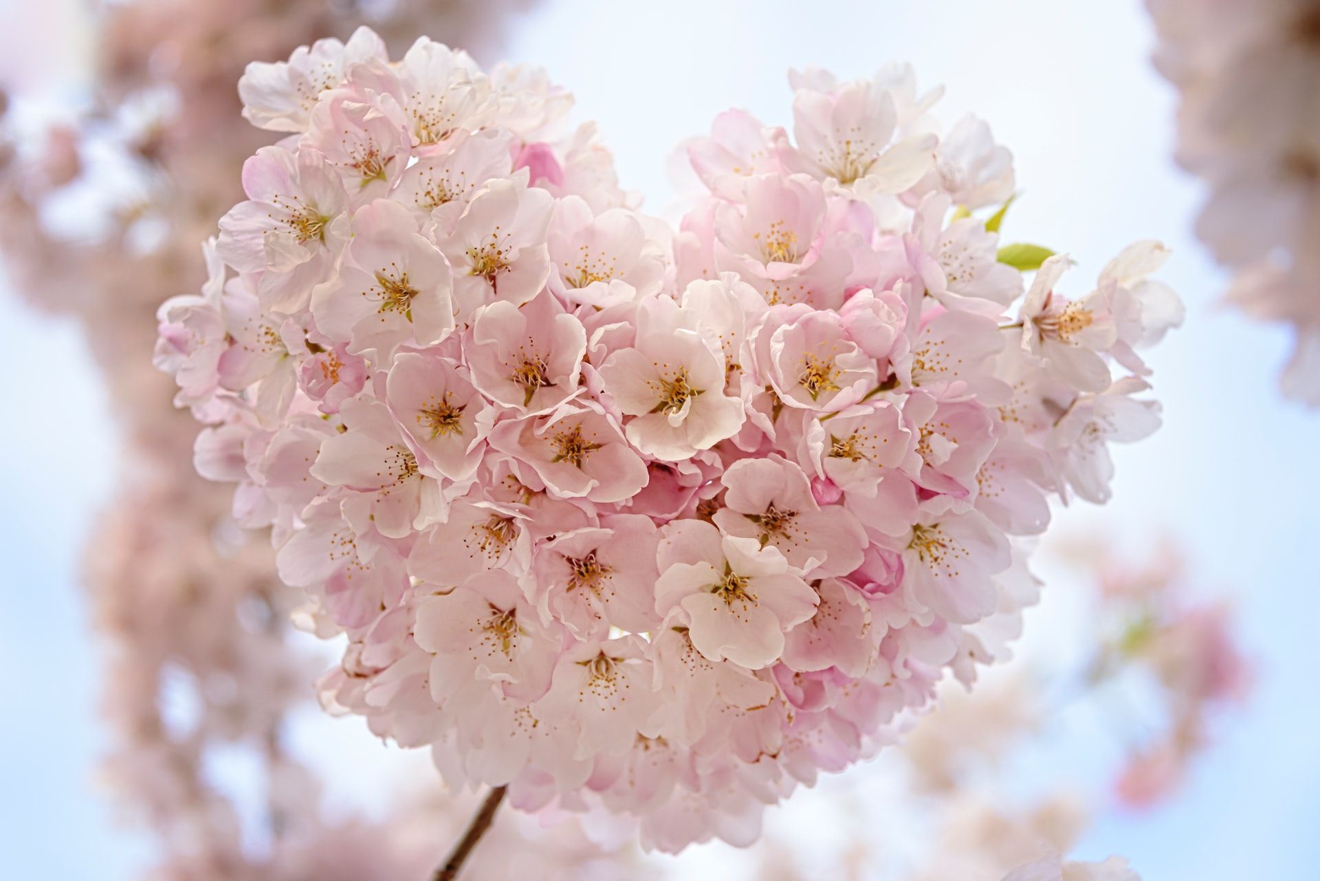 ألاعيب النفس وسلامة القلب
