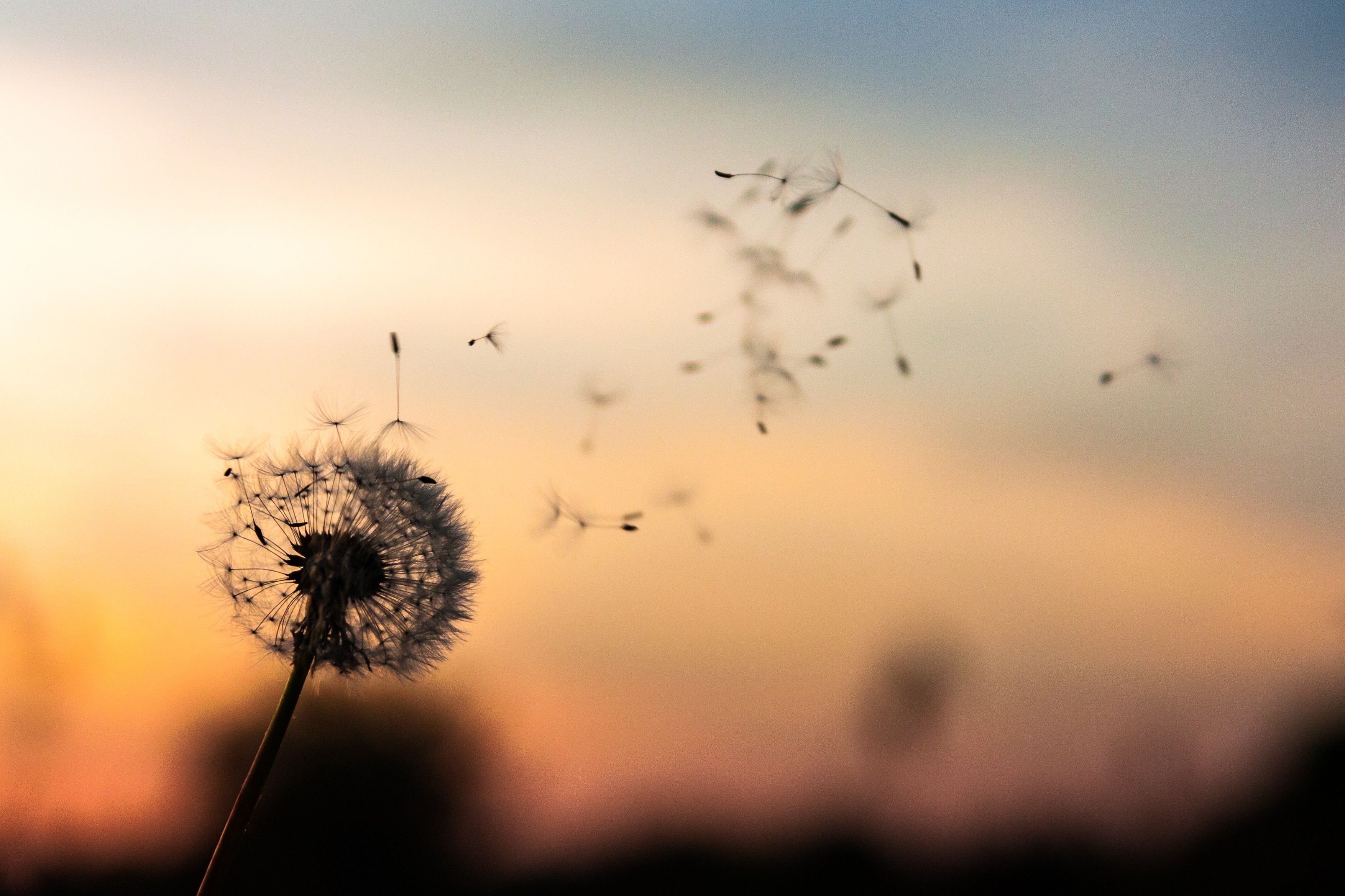 The coronavirus changed how Ramadan looks